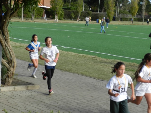 DSCN0677 (Small).JPG